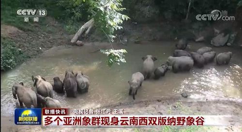 霍东阁，传奇人生，百度带你探寻其背后故事