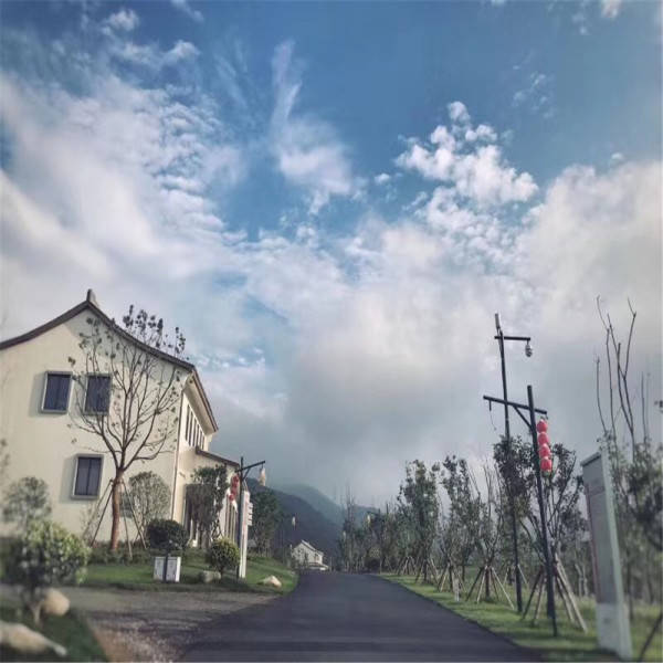 联系我们 第3页