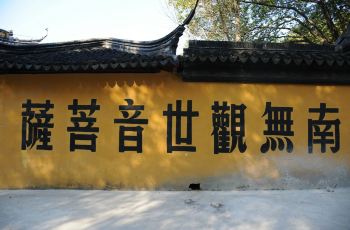 宝华寺打卡全攻略，最新指南，带你轻松畅游！